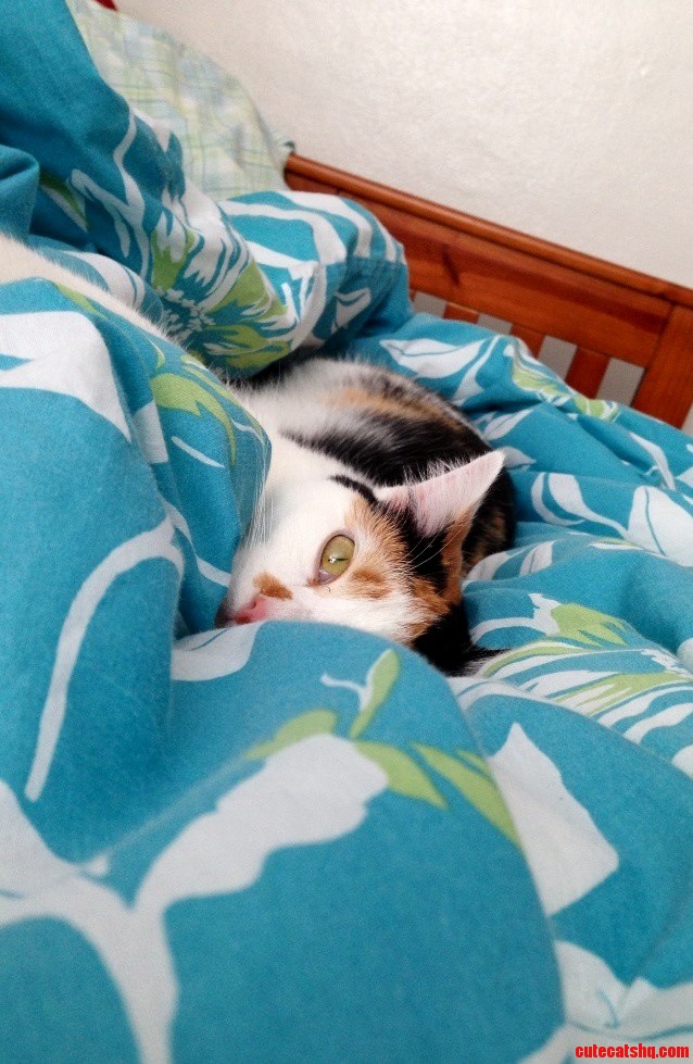 I Ve Always Thought Her Eyes Were Very Pretty.
