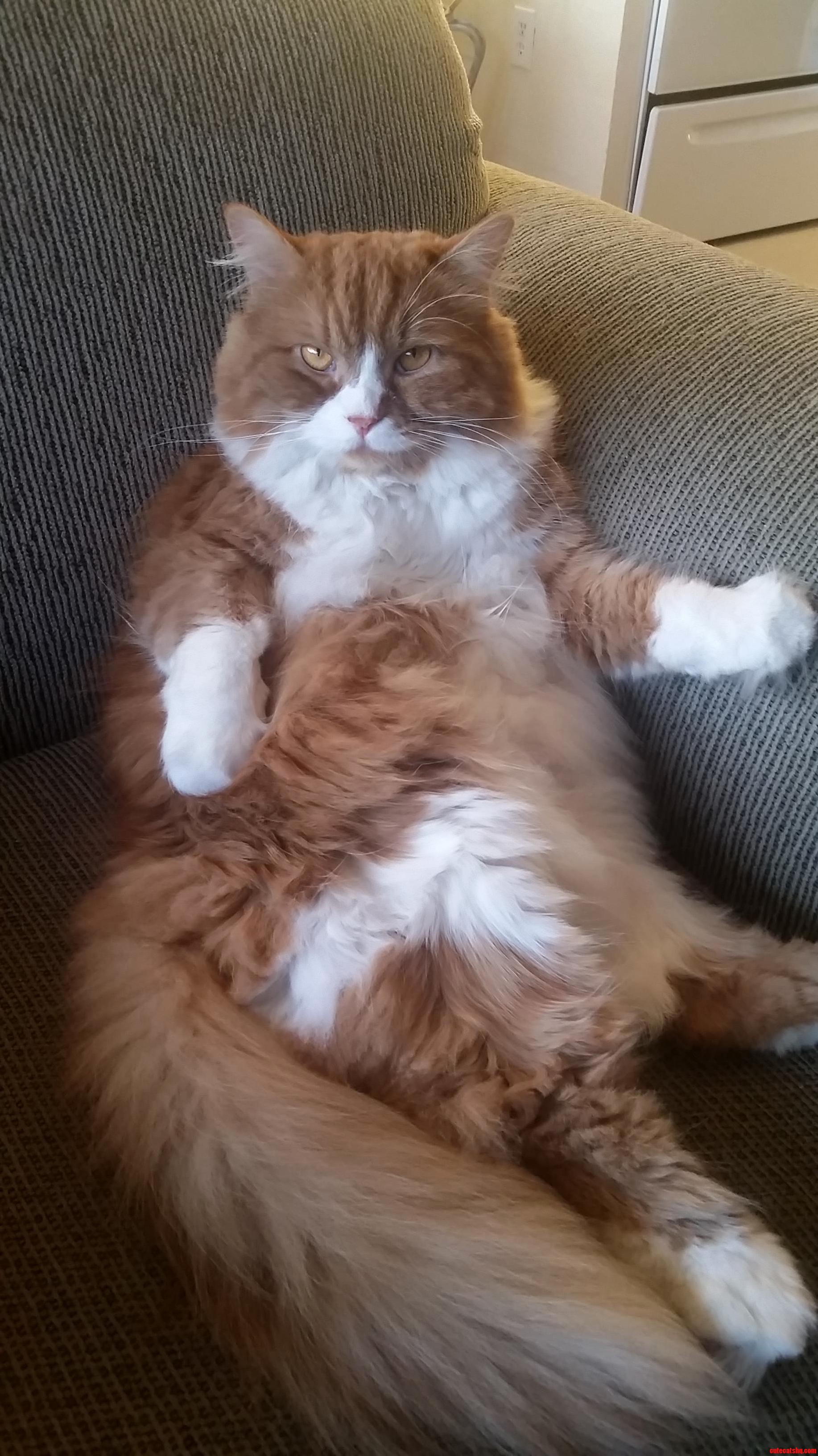 Im Not Fat Im Just Fluffy