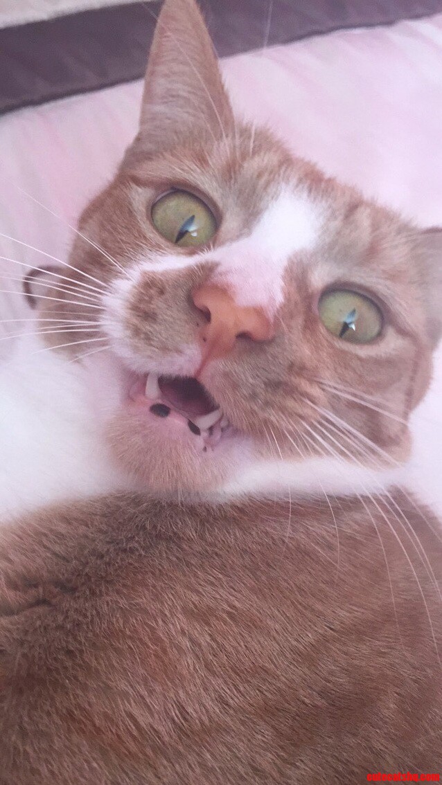 It Looks Like She Took a Selfie