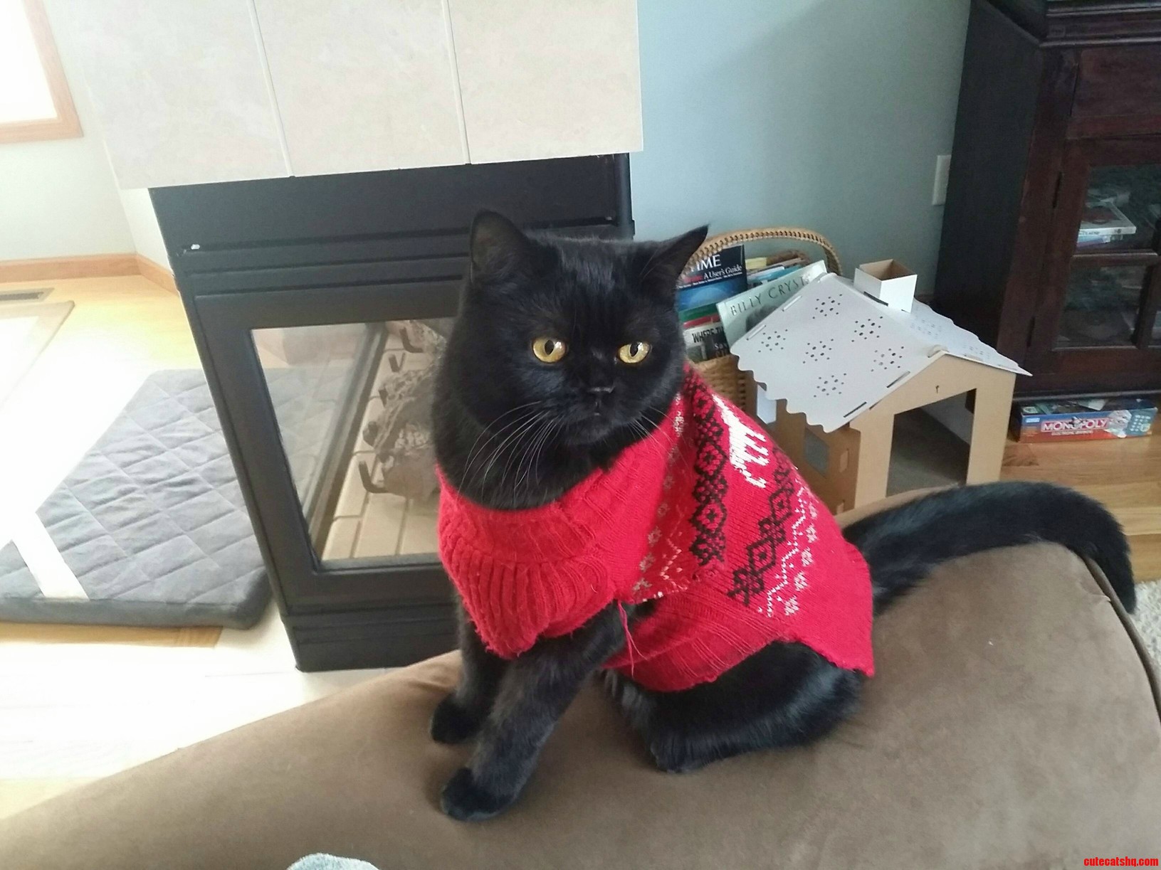 It Was -9 F Here This Morning...he Has Yet to Attempt to Get Out of It.