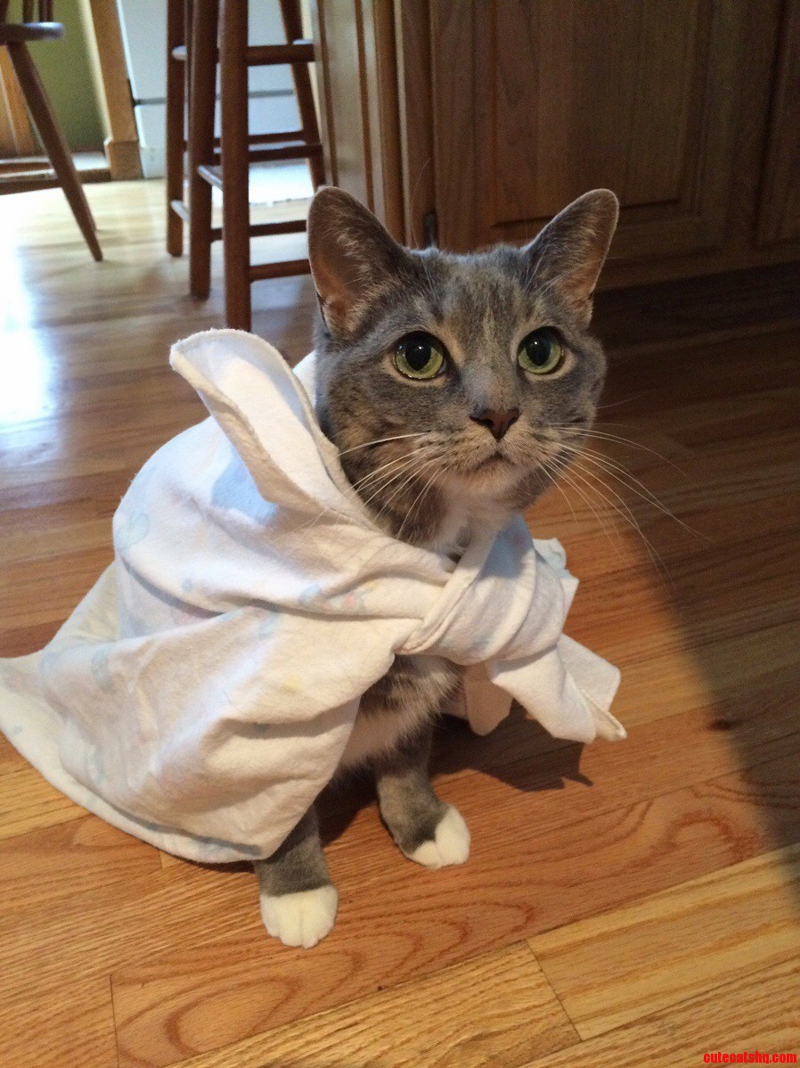 Its a Bird. Its a Plane. Its Super Lily