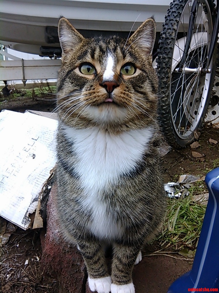 Its Hard Not to Love This Face
