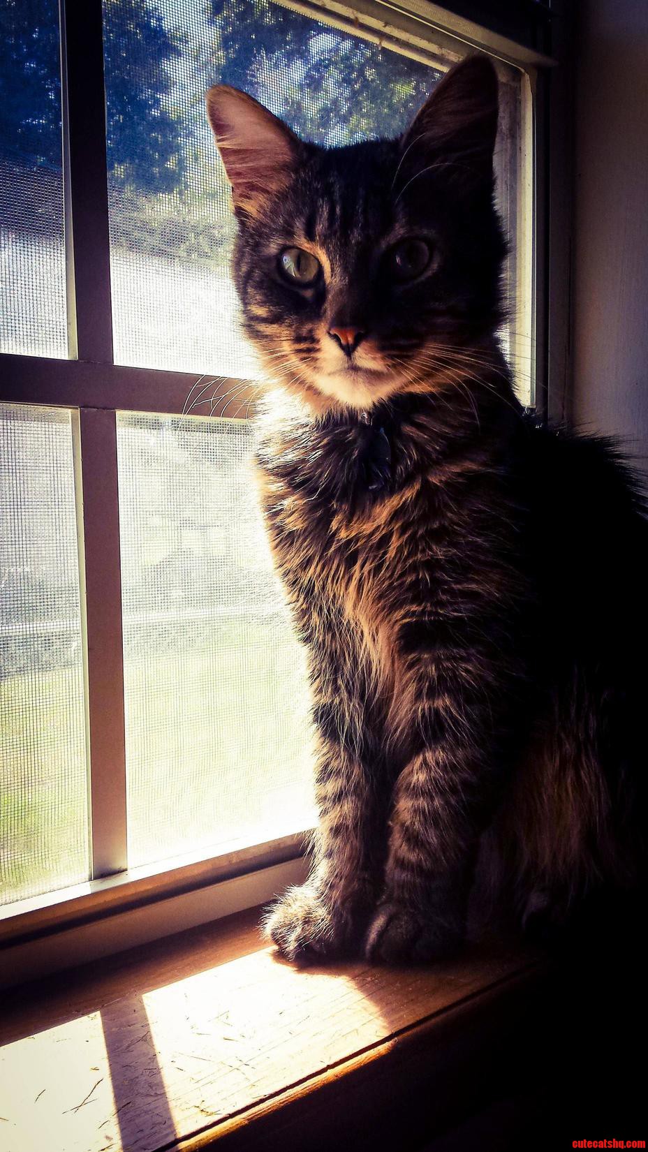 Its My Little Mans Birthday Happy Second Birthday Mugen