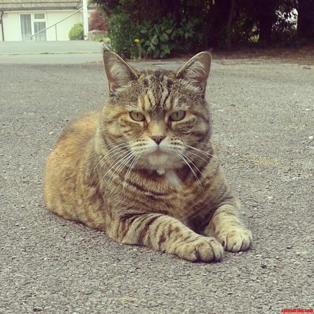 Just Chilling.