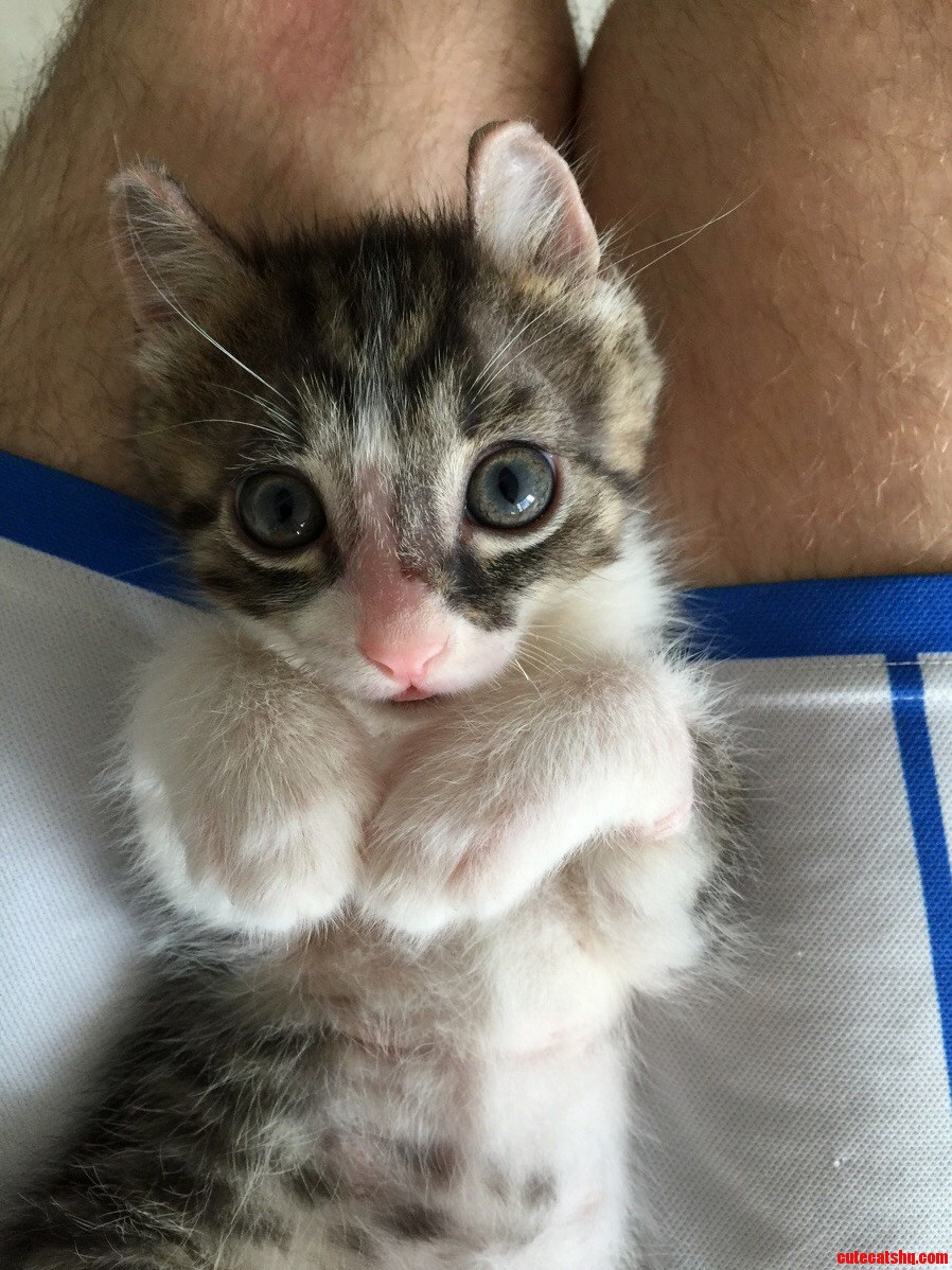 Meet Clive