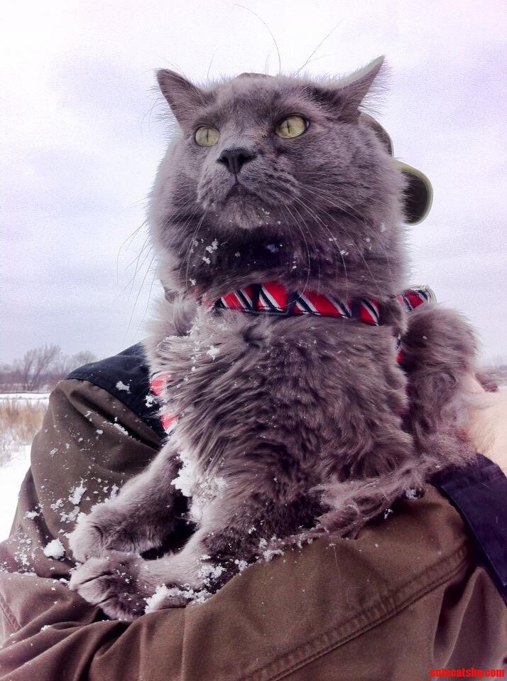 Meet Shat Catterson