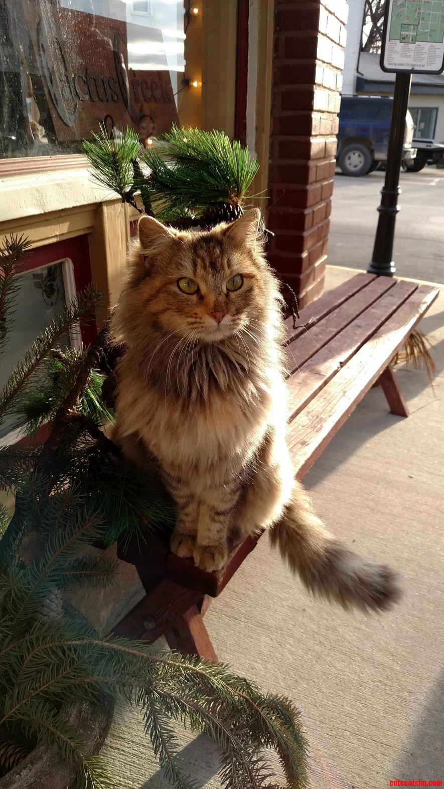 Met This Beauty Outside an Antique Store in Kansas City
