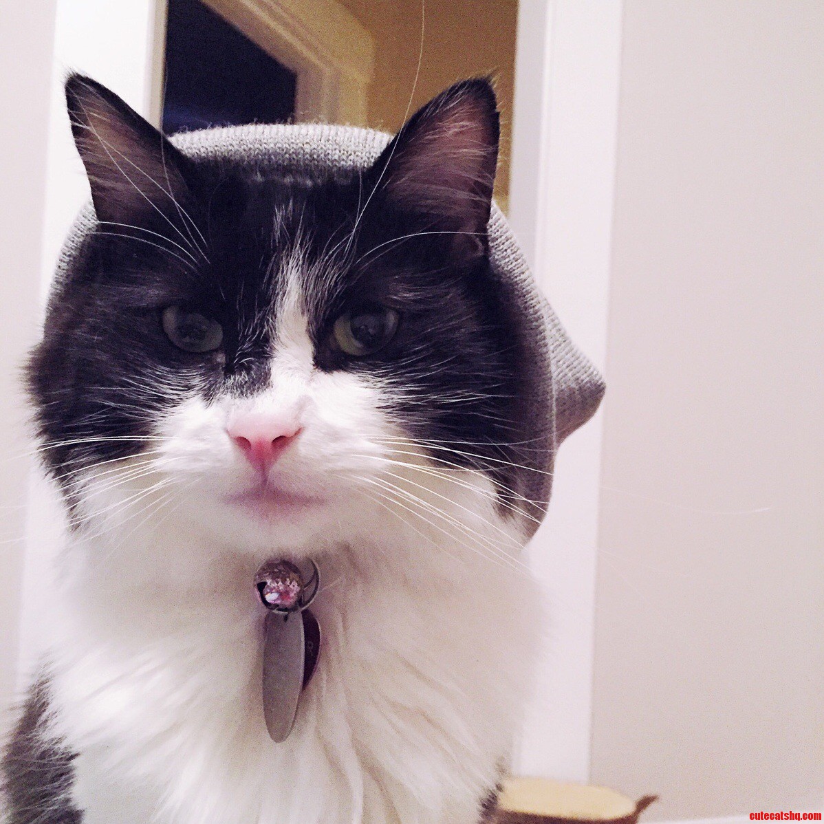 Moved to the Pnw and All He Does Is Wear Beanies Now.