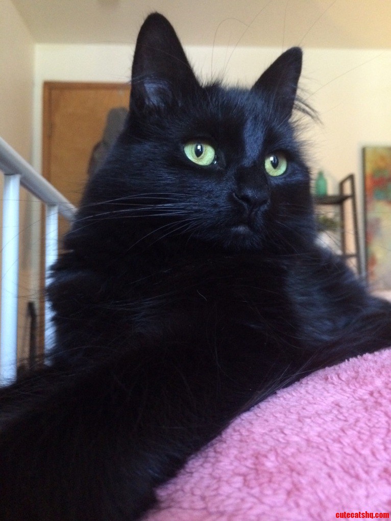 My Beautiful Girl