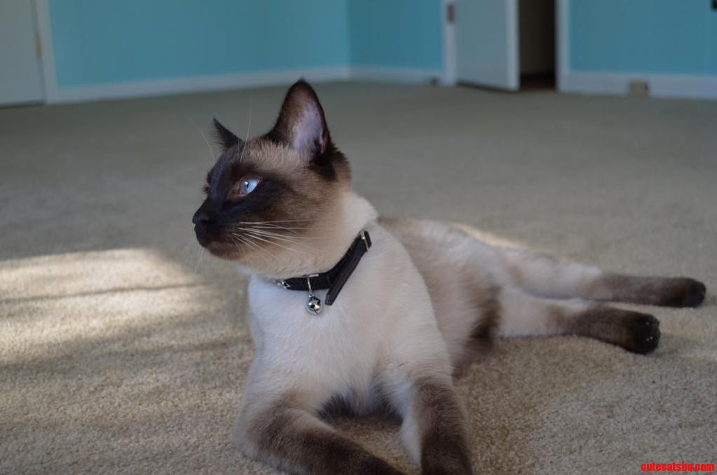 My Beautiful Mia