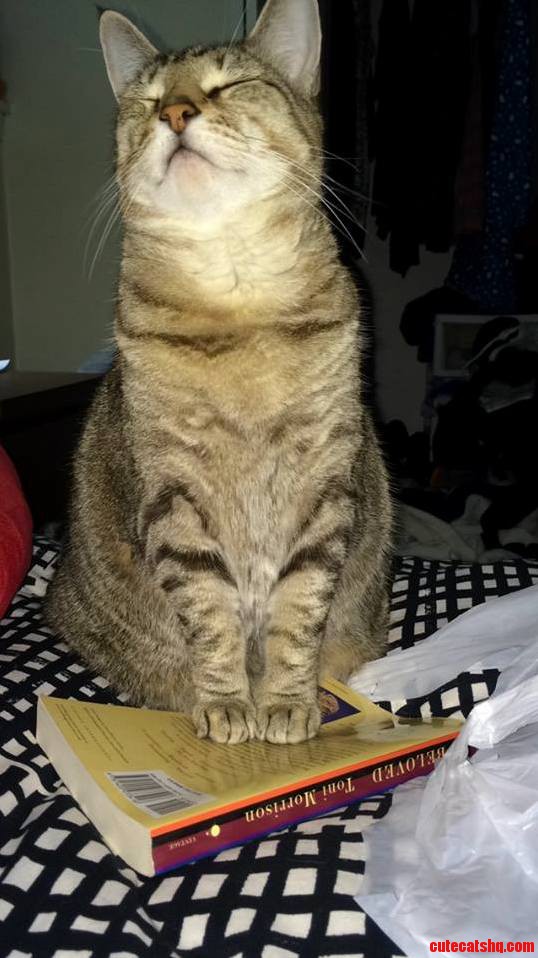 My New Favorite Picture of Her.
