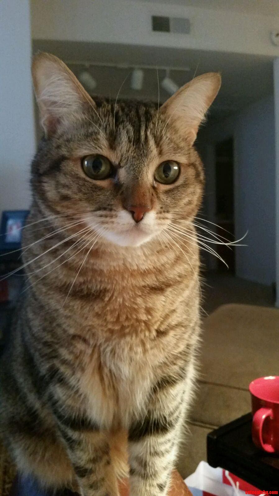 Our Beautiful Girl Mila
