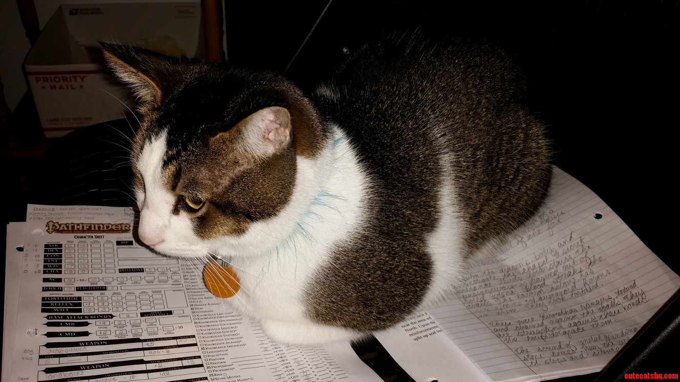 Pathfinder Loaf of 4 Charisma