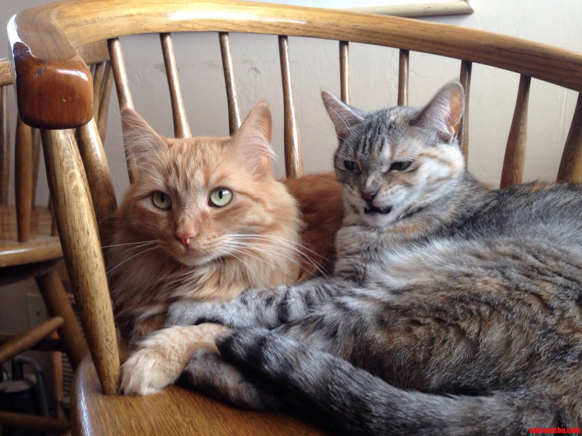 Pepper Looks Quite Pissed at Her Brother