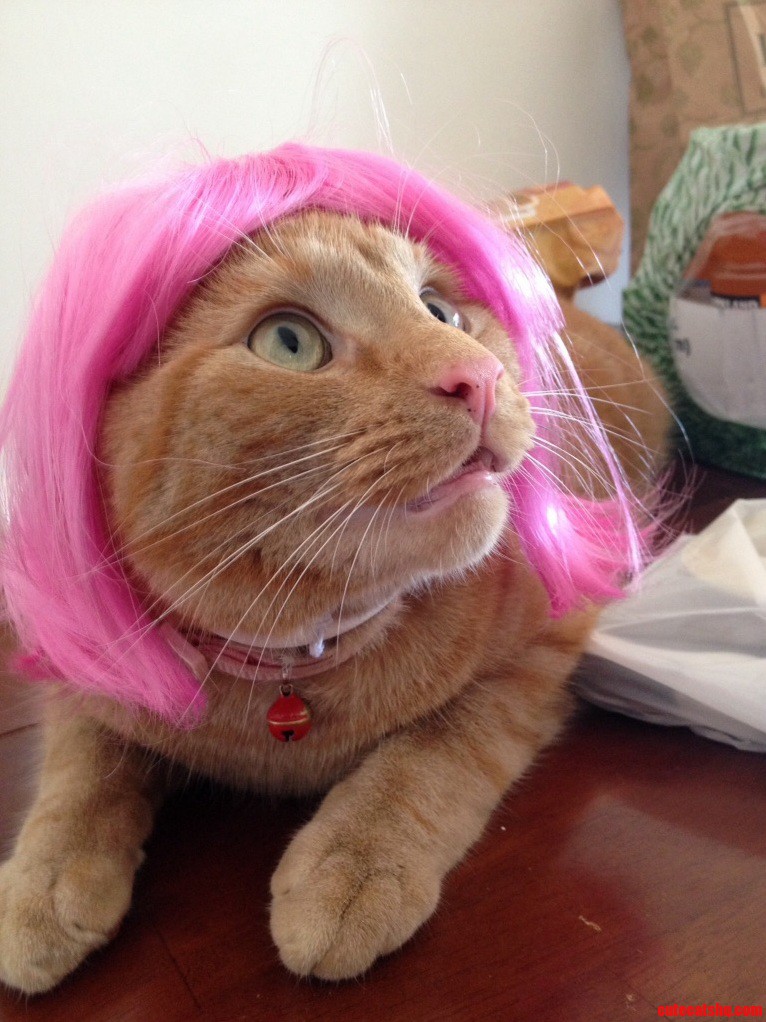Pink Wig with Matching Pink Lips and Nose