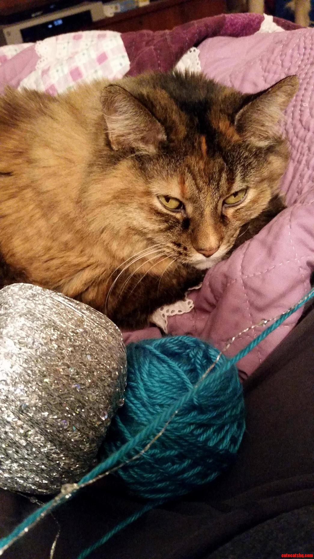 Pouting Mastered