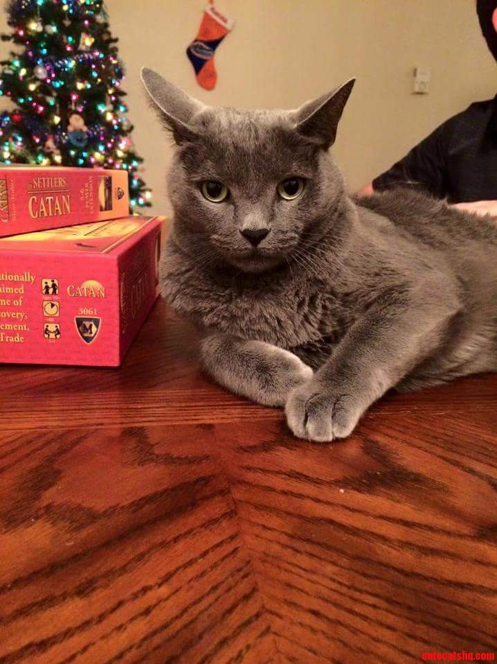 Settlers of Catan