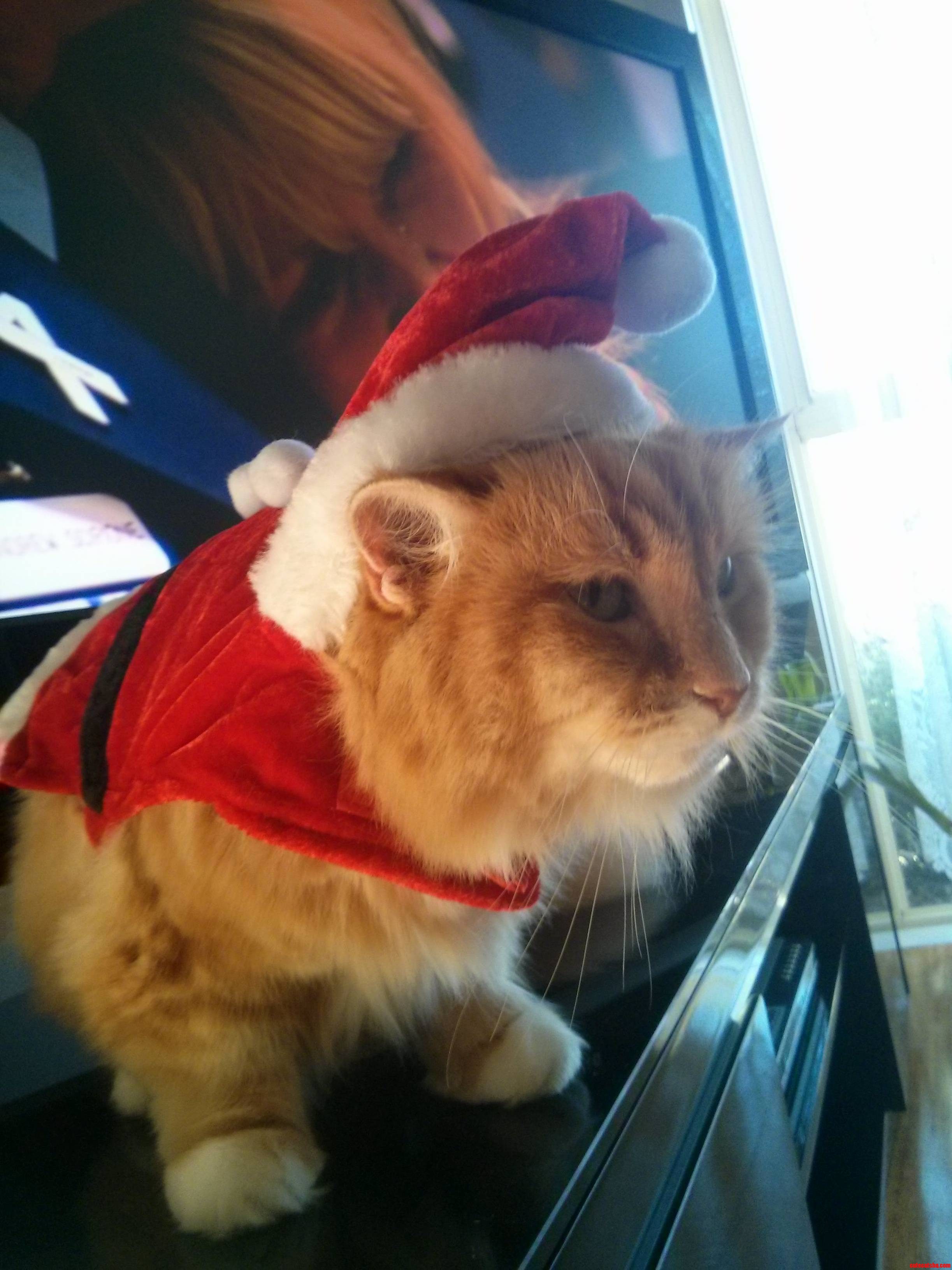 She Doesnt Like Her New Present