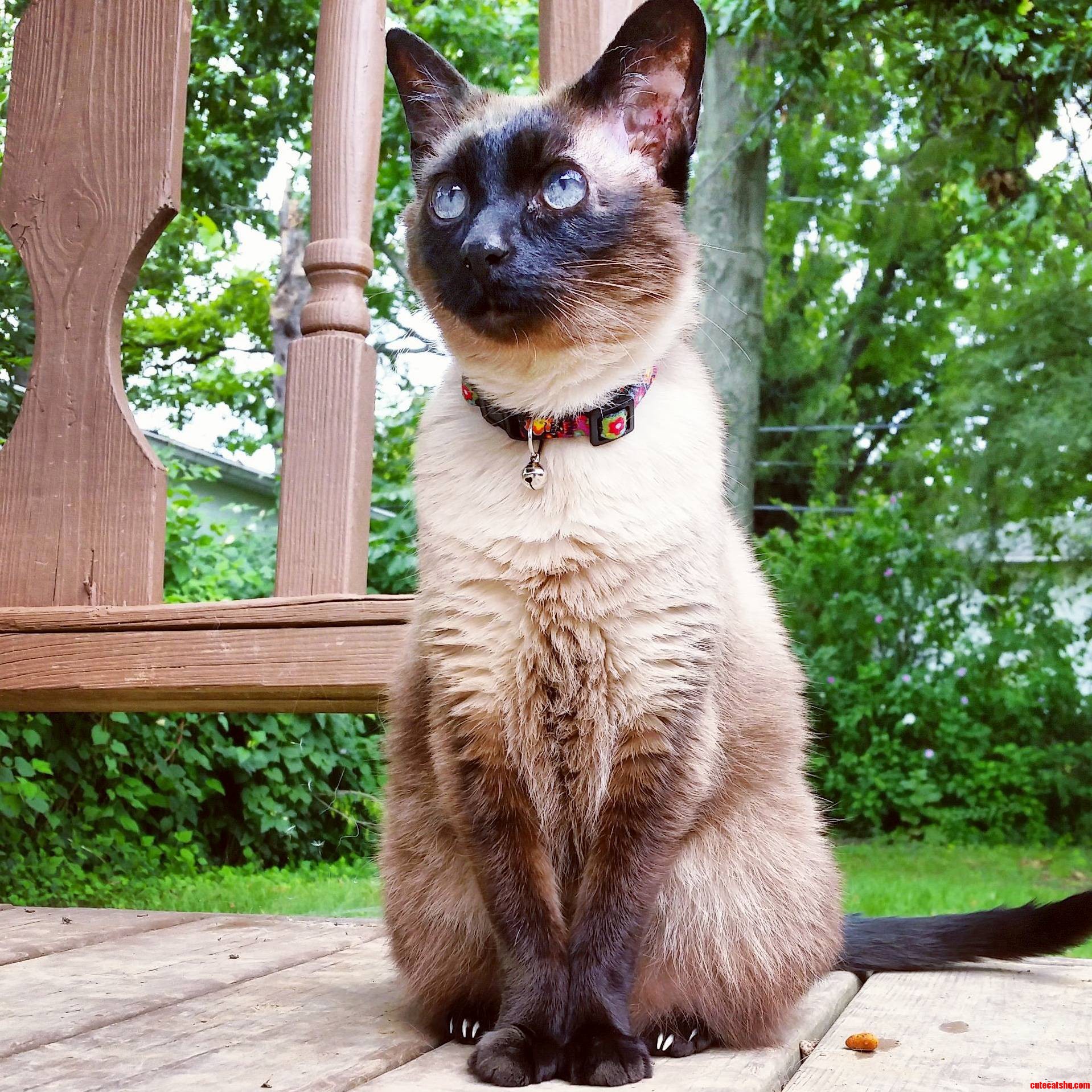 She Looks Nicer Than She Actually Is.