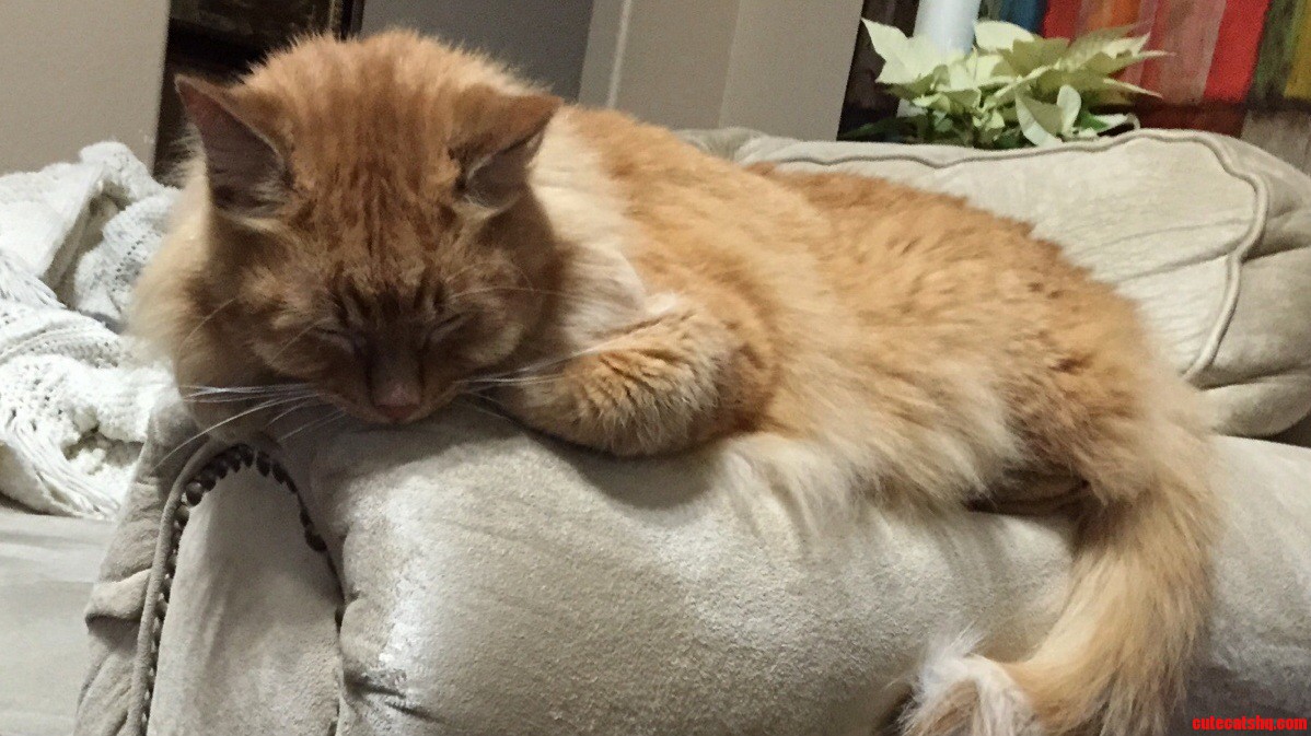 Sleeping Beauty Meet Jupiter