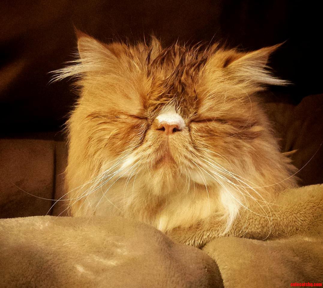 Snoozin After a Bath