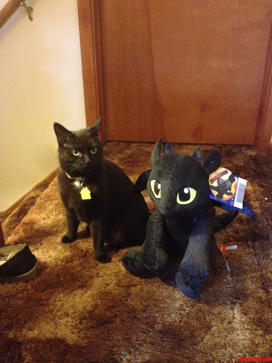Striking Resemblance.