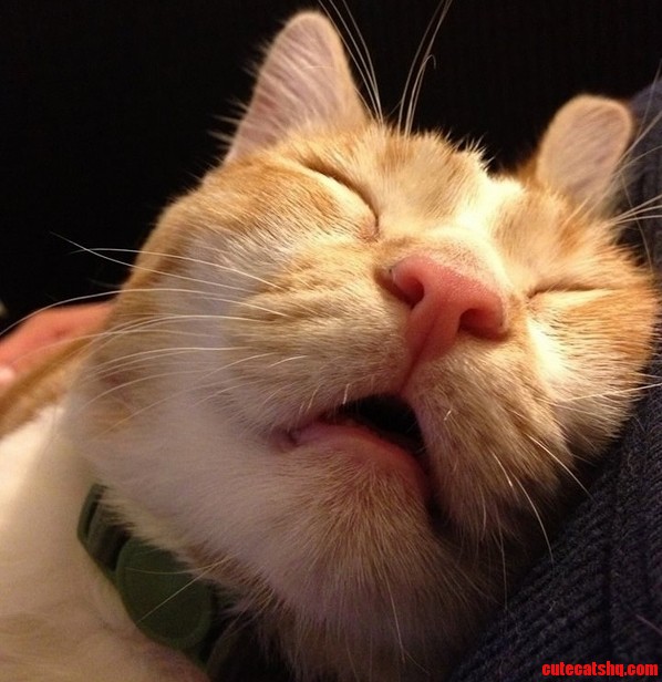 Sweet Dream