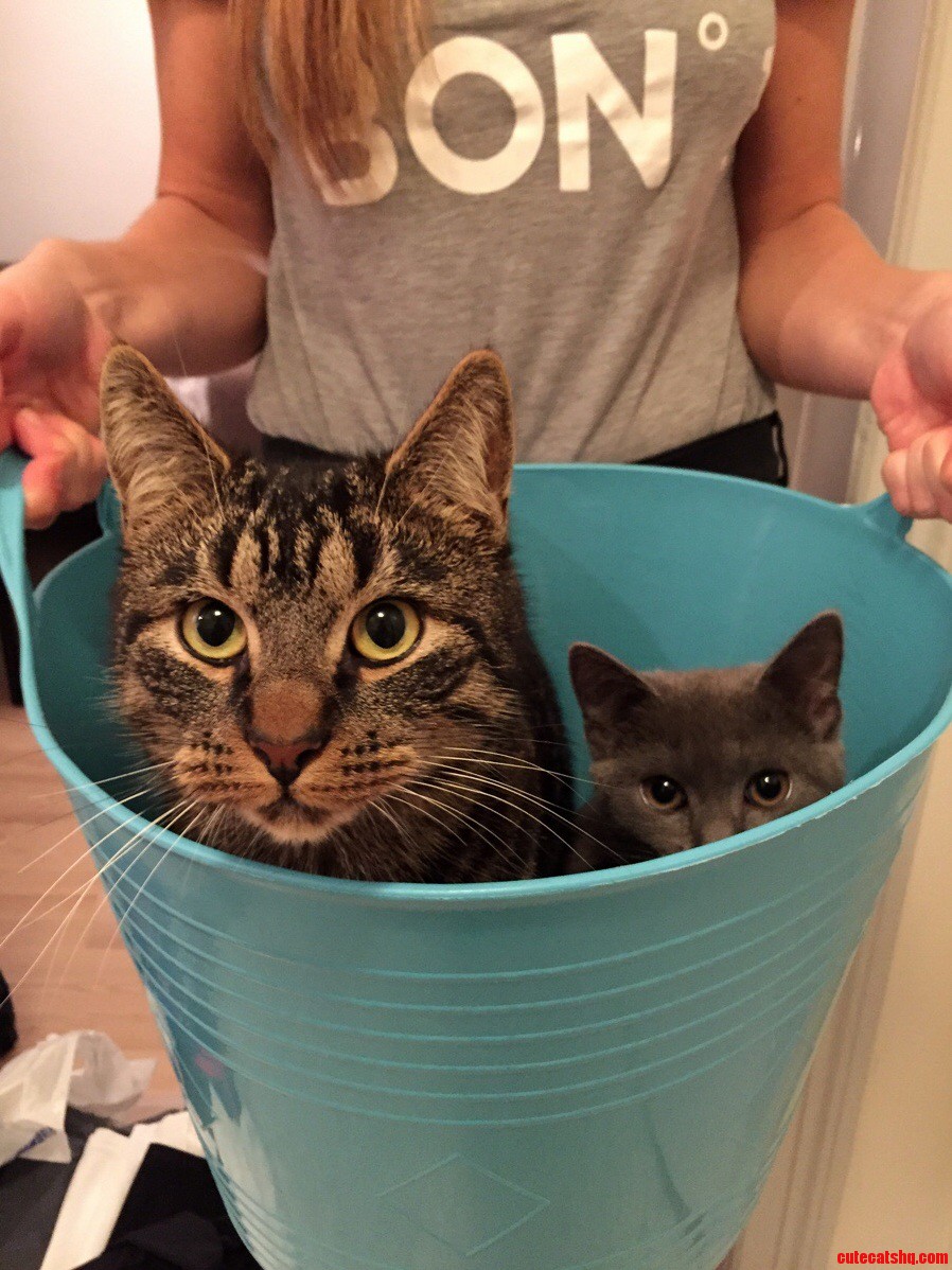 Taking Out the Laundry