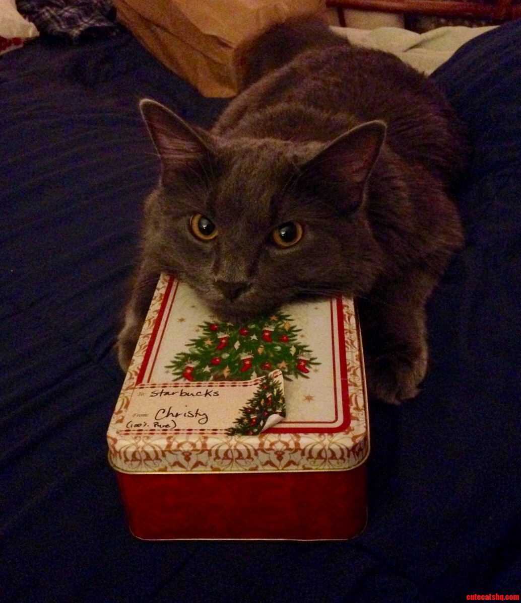 The Only One I Want to Spend My Christmas With.