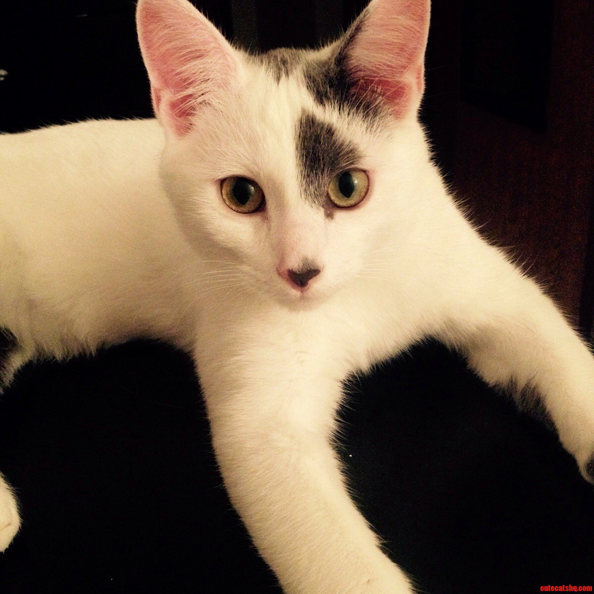 These Eyes