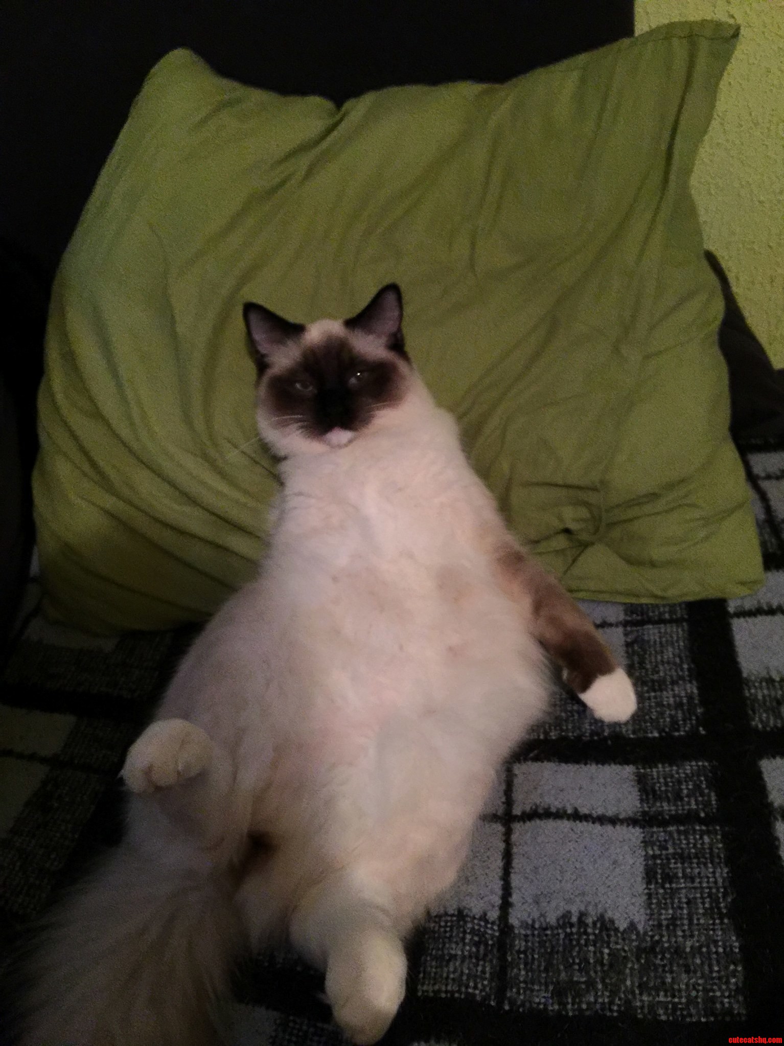 This Is How I Found Him