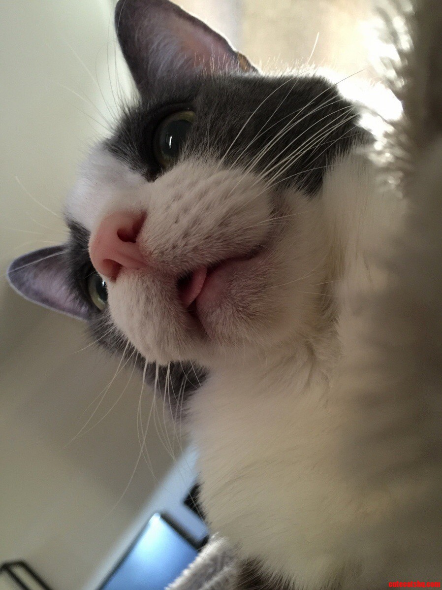 This Is Jasmine. I Think She May Have a Slight Overbite.