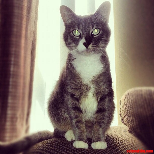 This Is Marv.