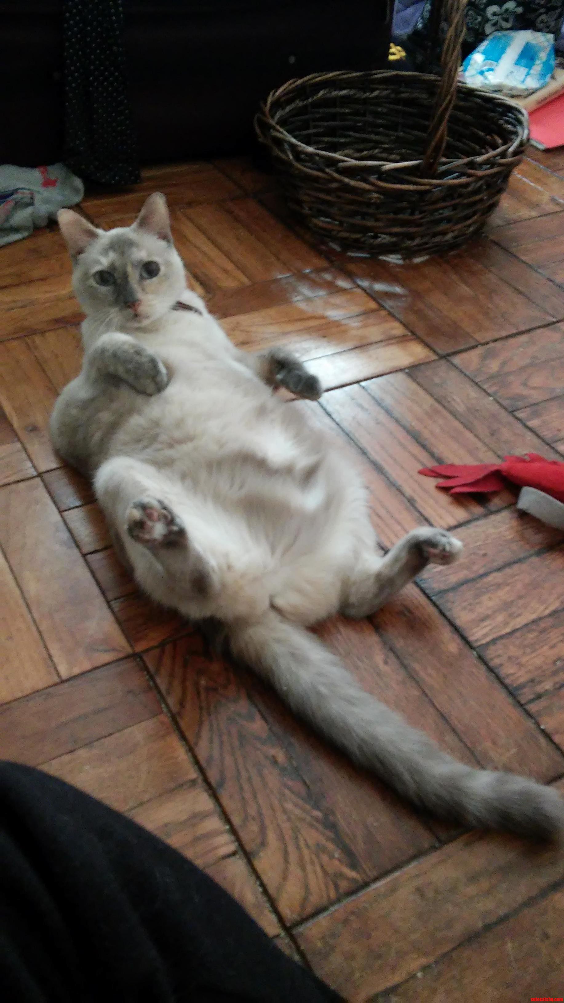 This Is Tubby.