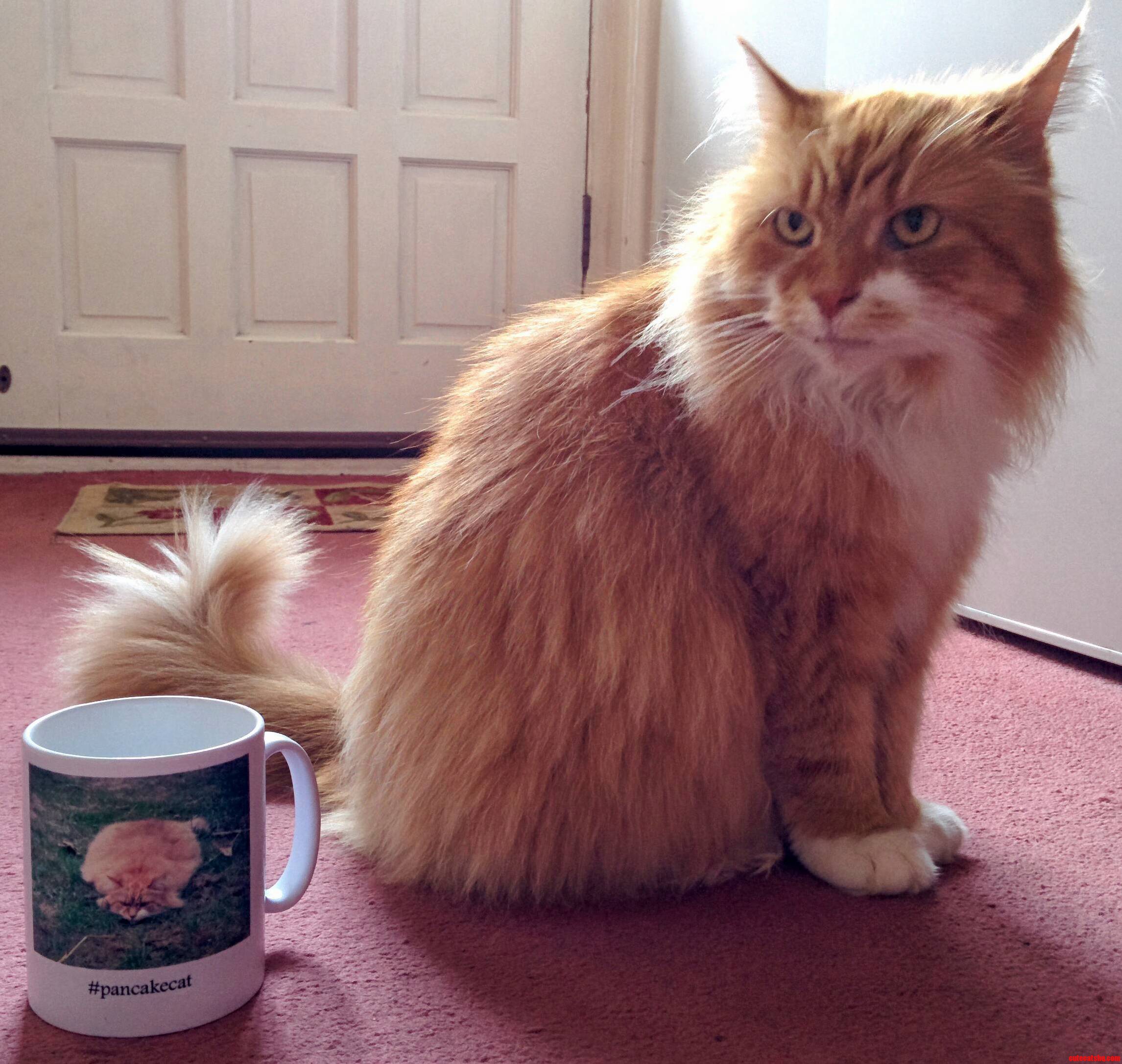 This Is What Happens When Im Offered a Free Personalised Mug.