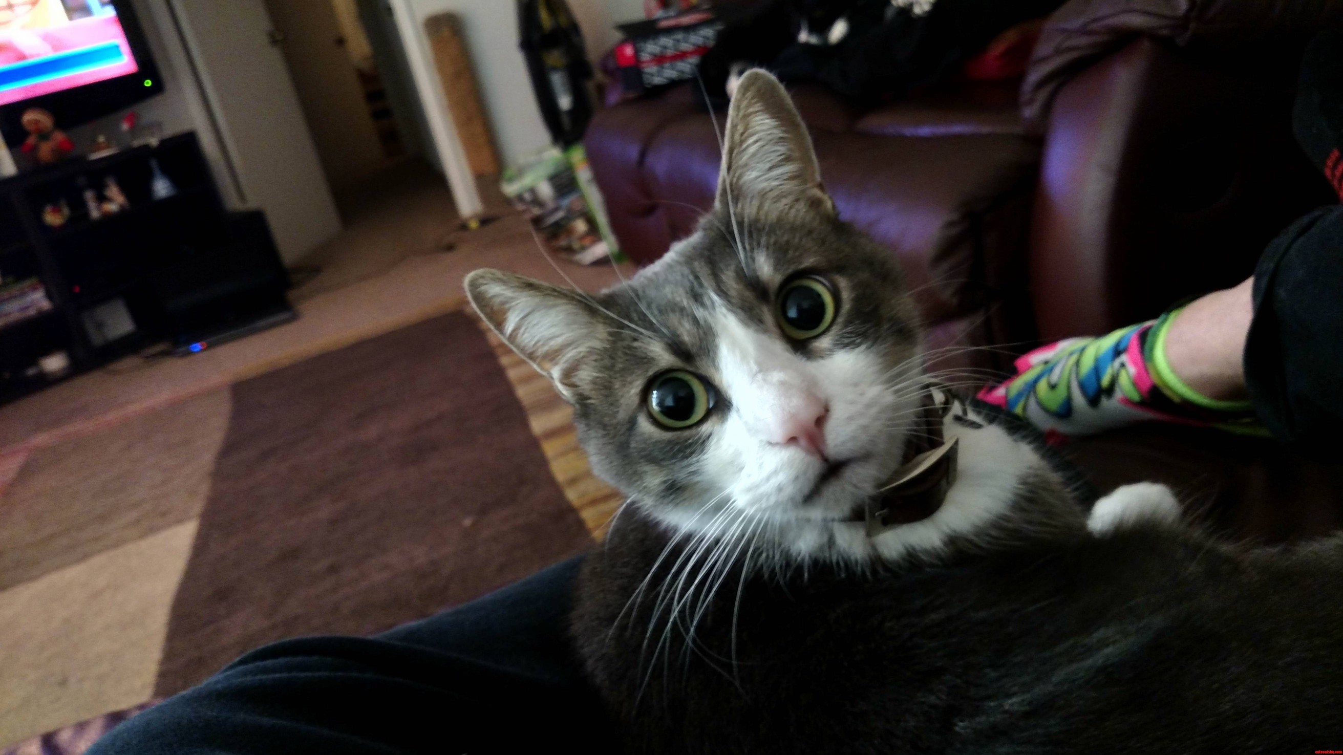 Those Eyes Though...