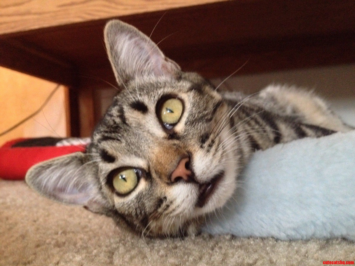 Those Eyes.