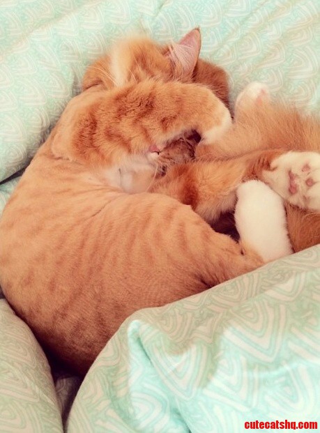 Turn Off the Lights Maaaaaa