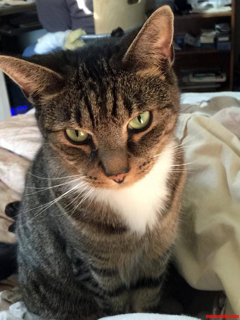 Wanted to Share This Picture of Stewie I Took with My Phone