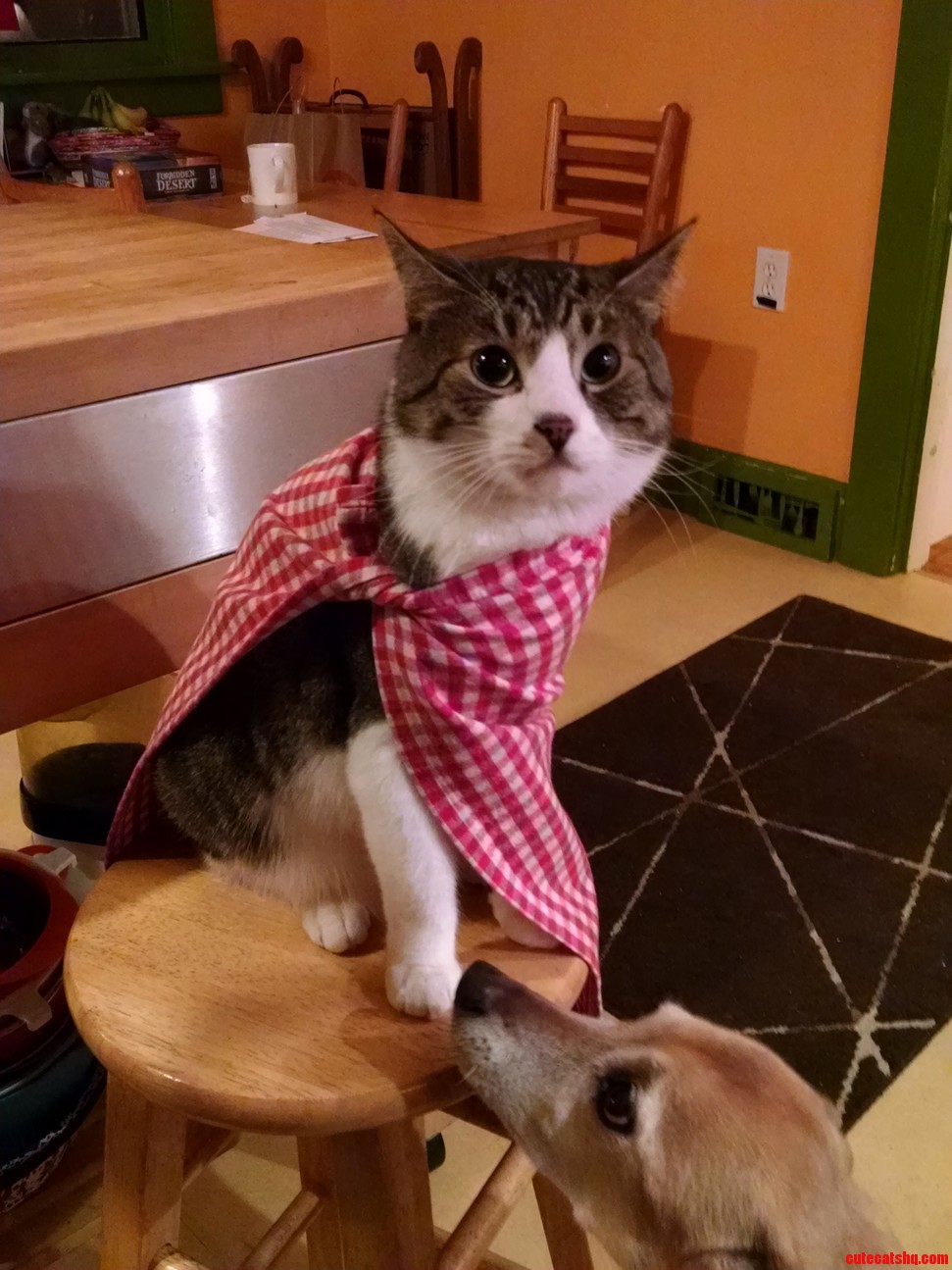 Wearing a Tea Towel