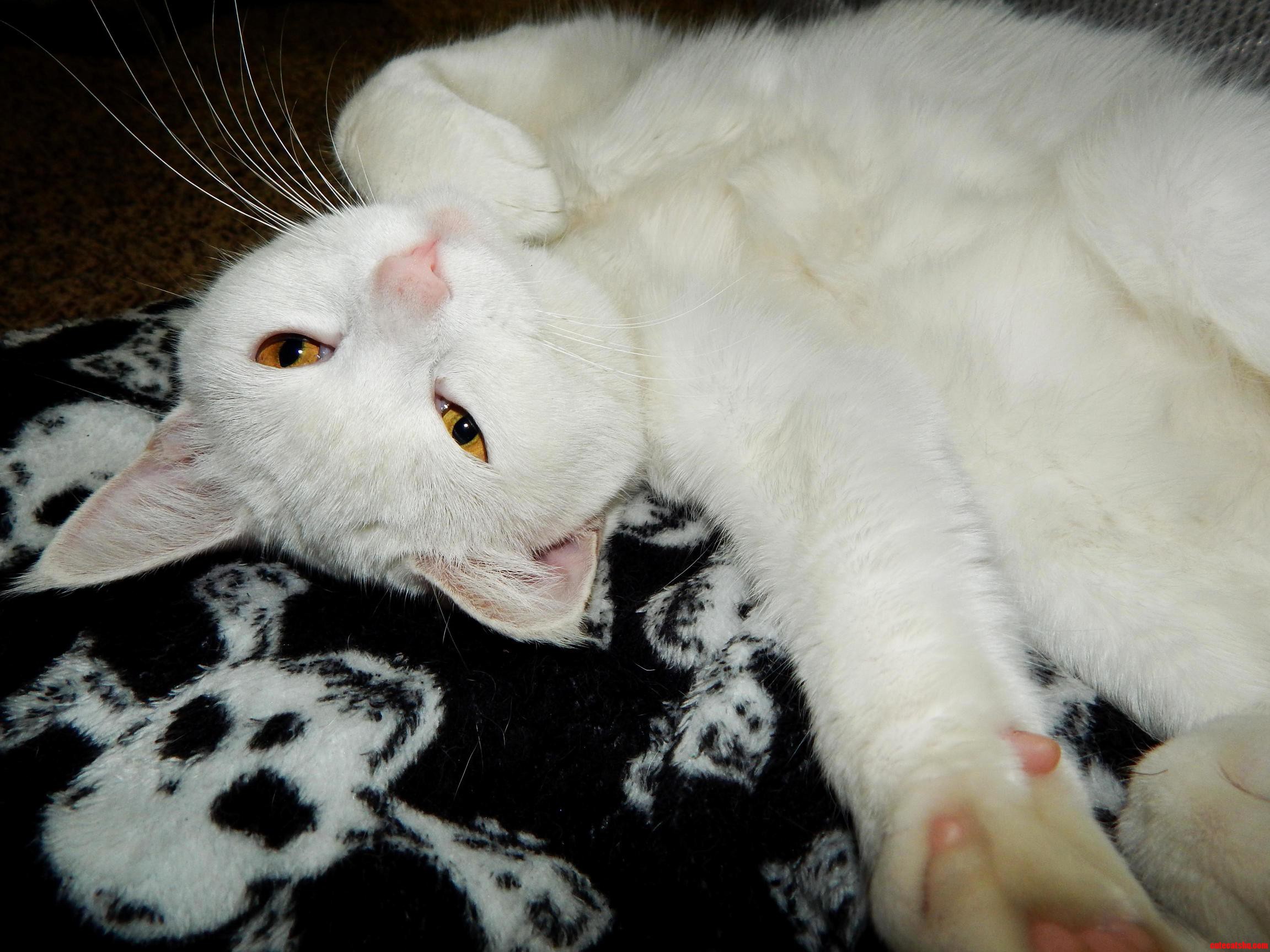Whatcha Thinkin Bout