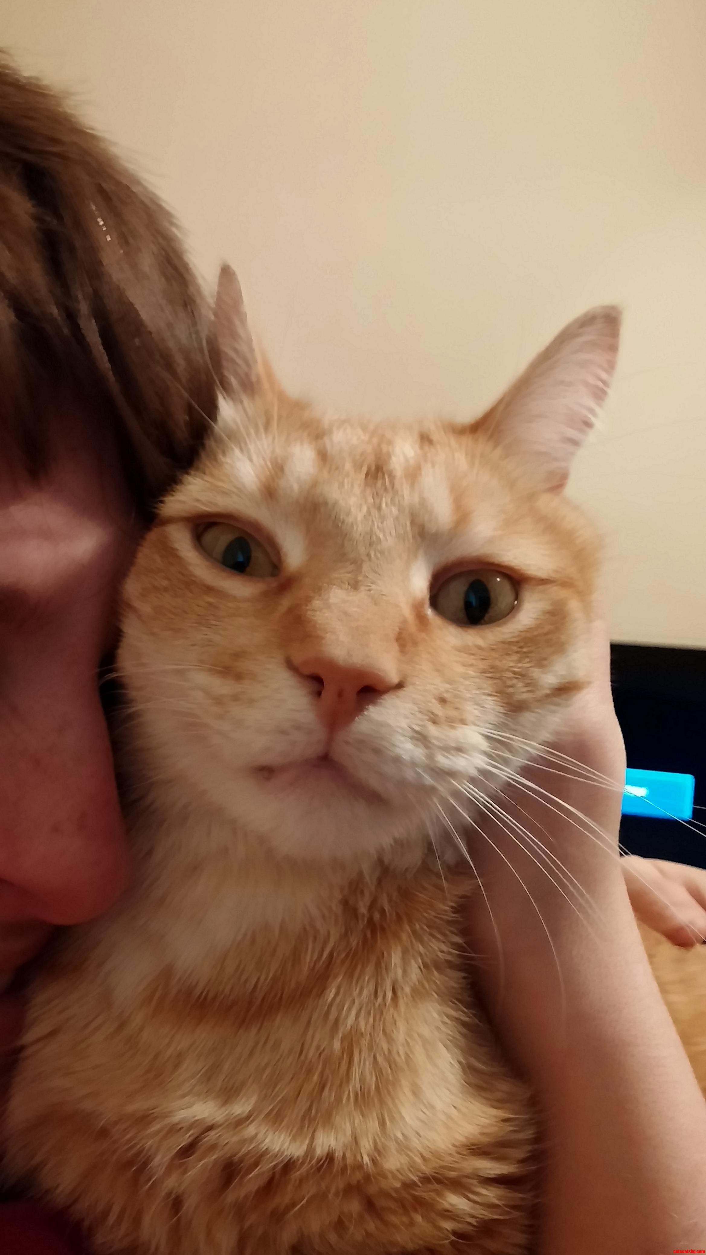 When Your Cat Isnt Very Cuddly and Something Like This Happens.