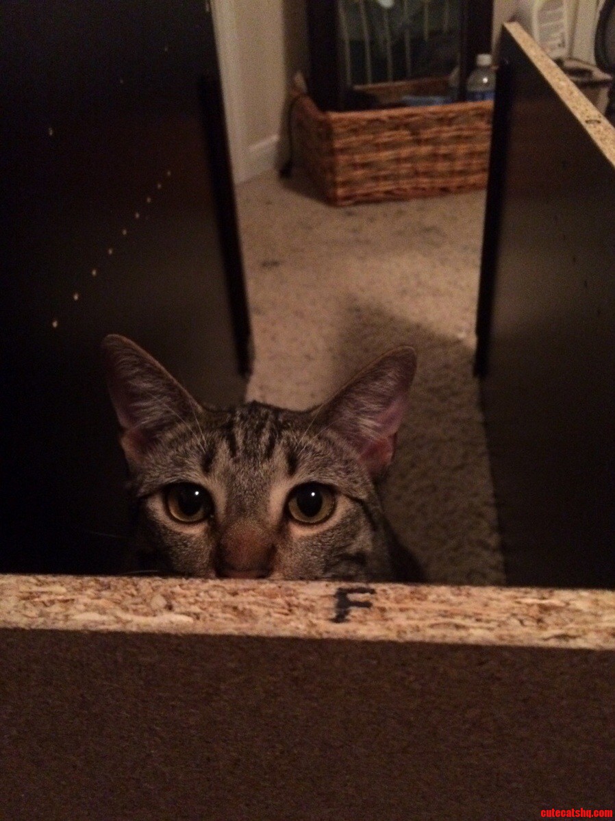 Yes Hello I Understand You Are Building a Desk May I Help