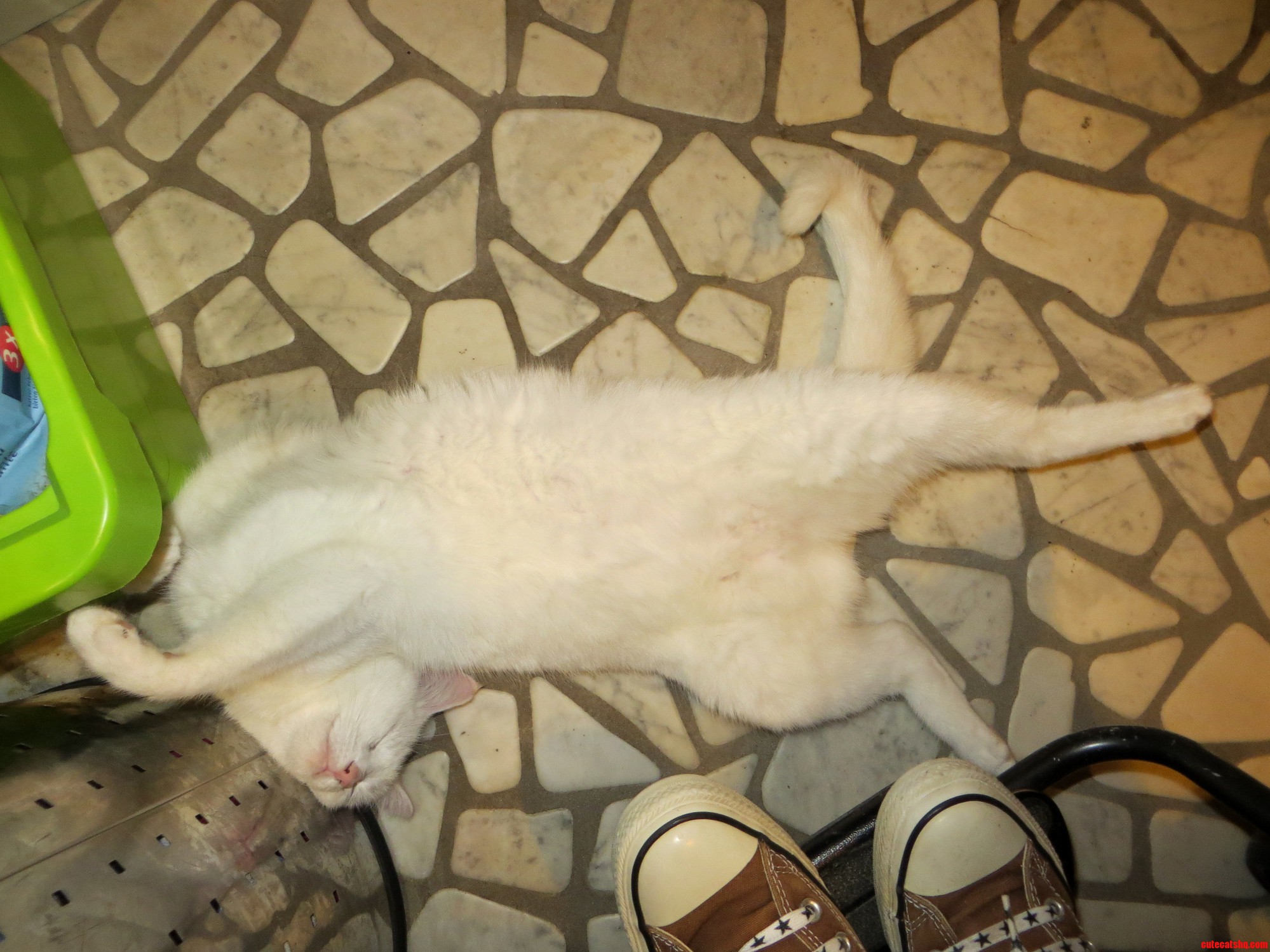 Youre Doing It Wrong