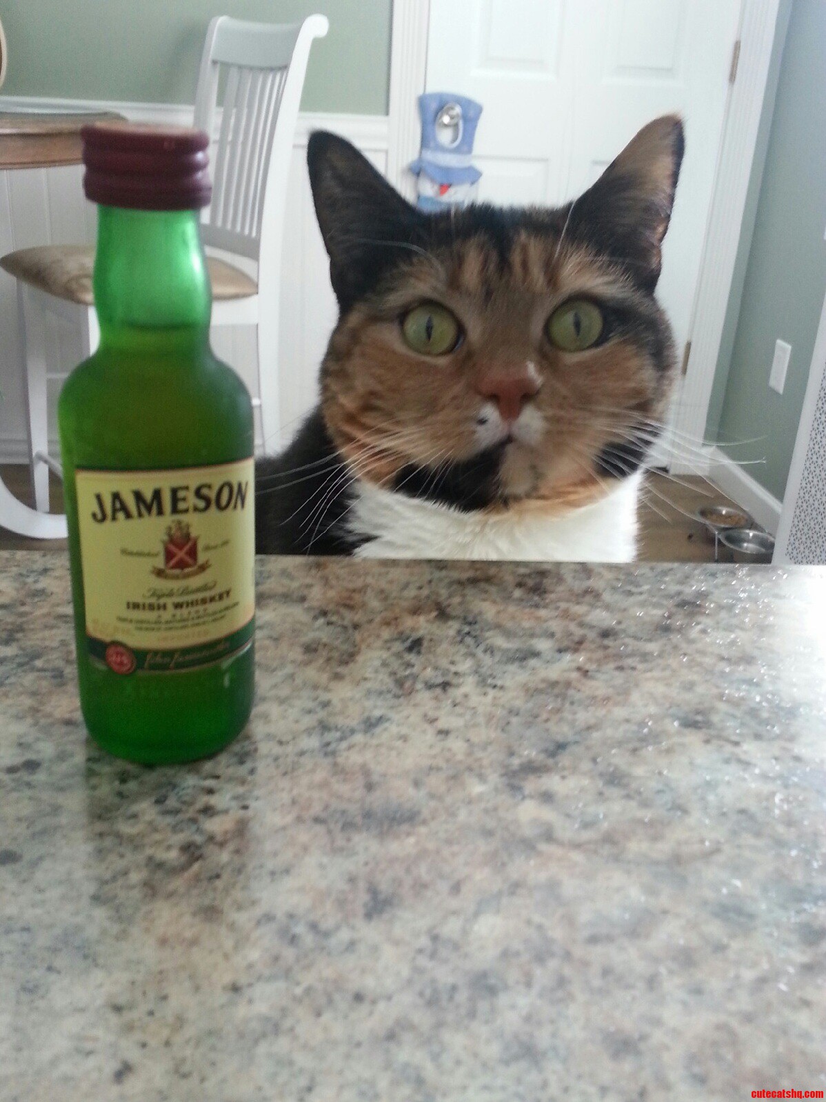 Another Drink Please Bartender