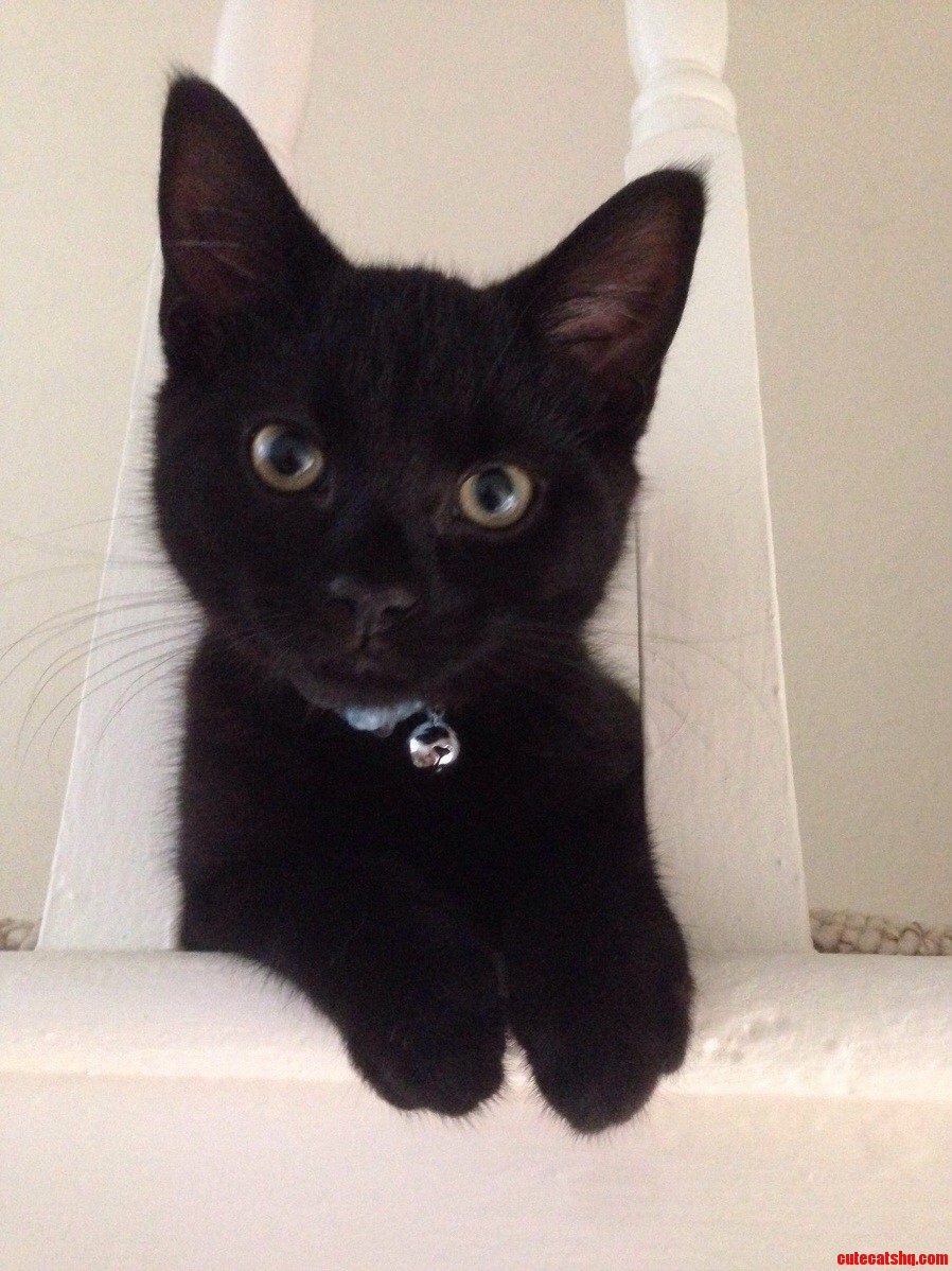 Hank Youre So Handsome.