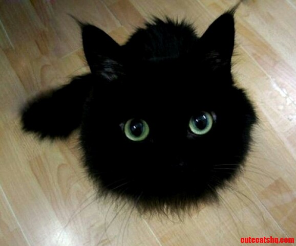 Happy Friday the 13th