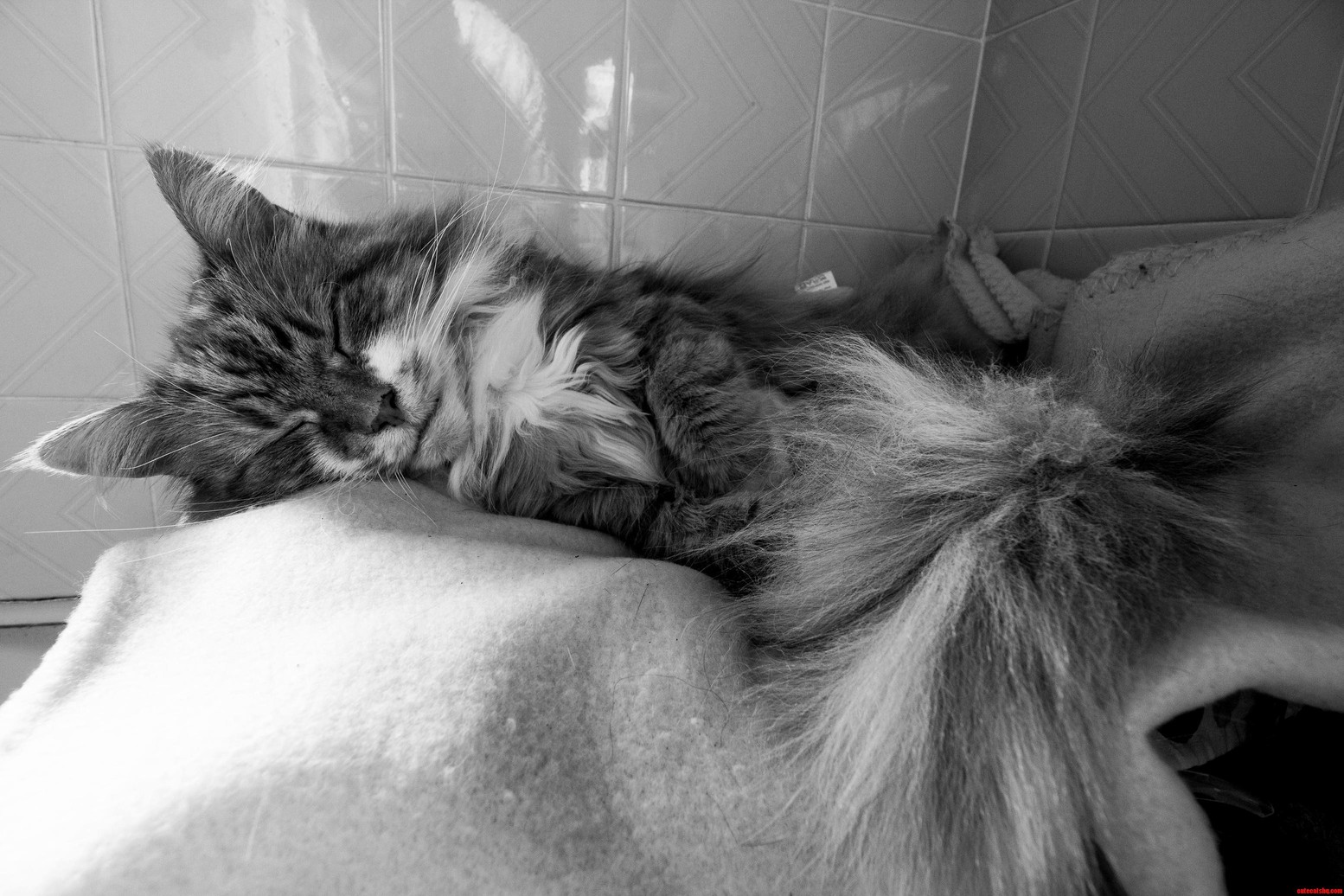 Having a Chilled Afternoon