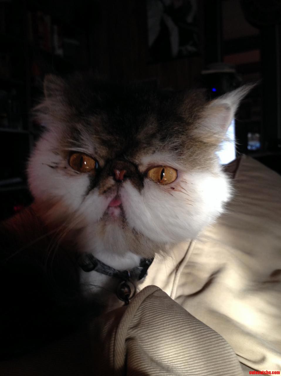 He Doesnt Take Me Very Seriously.