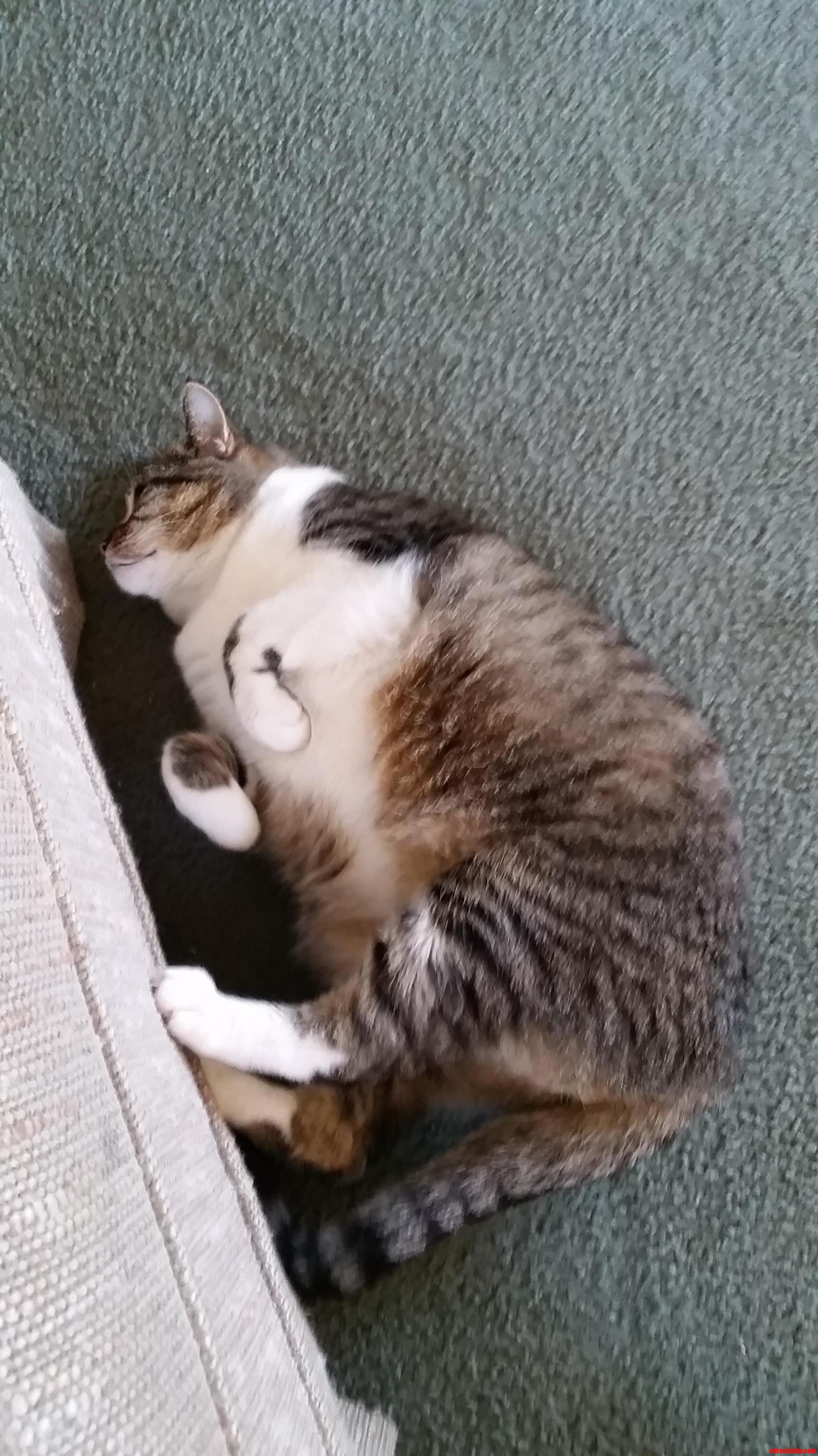 Horizontal Running